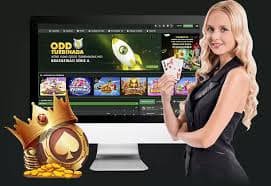 bet 977 bet 977